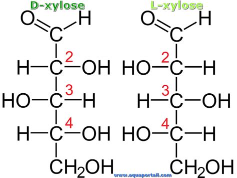 Development and Characterization of a Xylose.